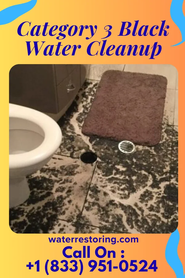 Category 3 Black Water Cleanup in Cornell, IL