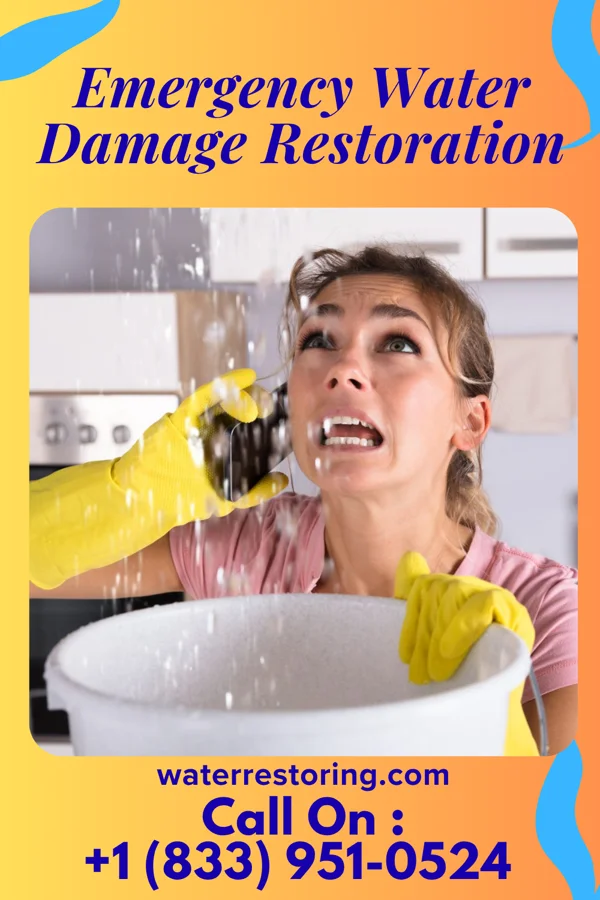 Emergency Water Damage Restoration in Cornell, IL