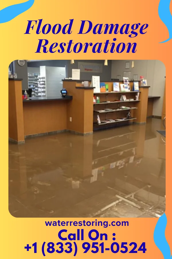 Flood Damage Restoration in Cornell, IL