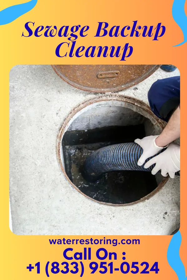 Sewage Backup Cleanup in Cornell, IL